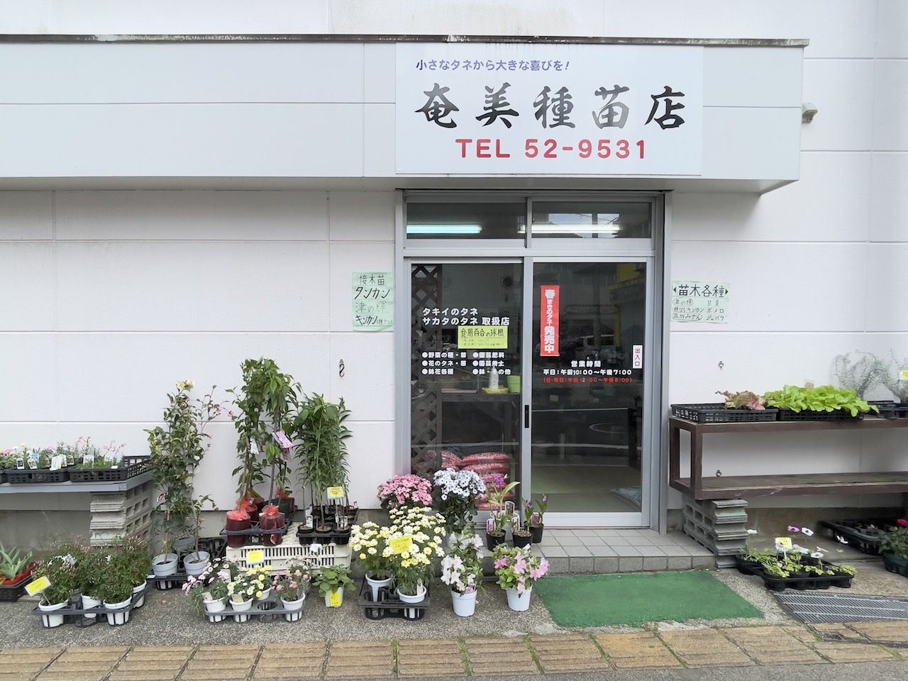奄美種苗店